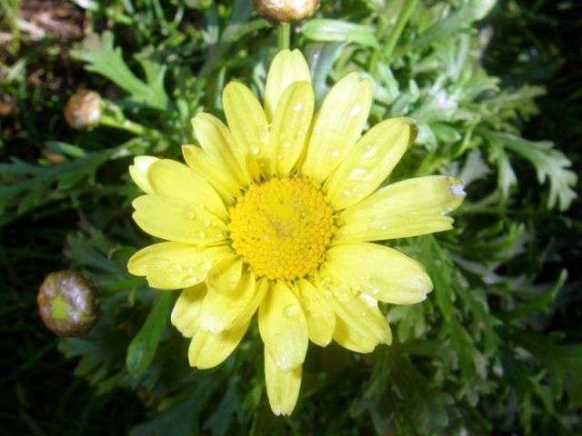 2010 05 24 jeanmarcperfetti.com 017.JPG